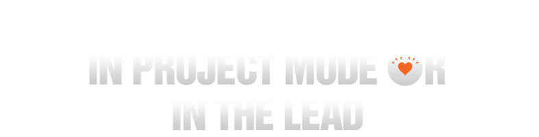 An agency in project mode or in the lead.