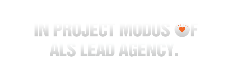 Een bureau in project modus of als lead agency
